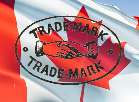 trademark lawyer edmonton corporate lawyer